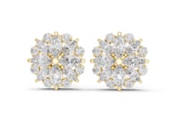 Marquise Flower Halo Studs - Gold