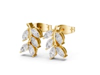 Marquise Leaf Vine Studs - Gold