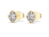 Oval Crown Gallery Studs - Gold