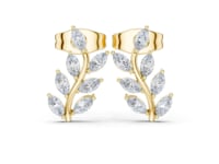 Marquise Vine Climber Studs - Gold