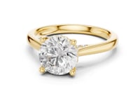 Round Hidden Halo Cathedral Solitaire Engagement Ring - Gold