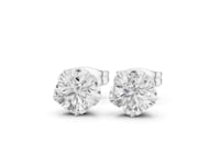 Round Buttercup Solitaire Studs - White Gold