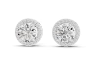 Pave Halo Round Studs - White Gold