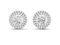Pave Double Halo Studs - White Gold