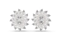 Oval Sunburst Halo Studs - White Gold