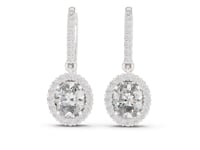 Oval Halo Pave Drops - White Gold
