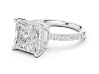 Princess Crown Hidden Halo Pave Engagement Ring - White Gold