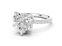 Heart Crown Hidden Halo Pave Engagement Ring - White Gold