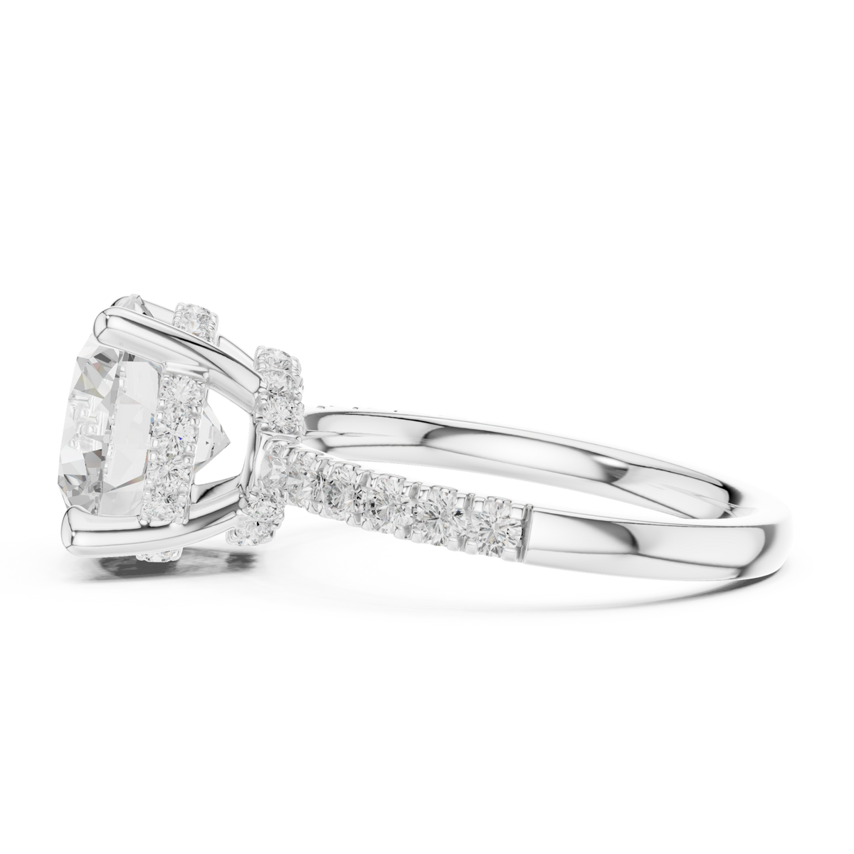 Round crown hidden halo pave engagement ring white gold side view