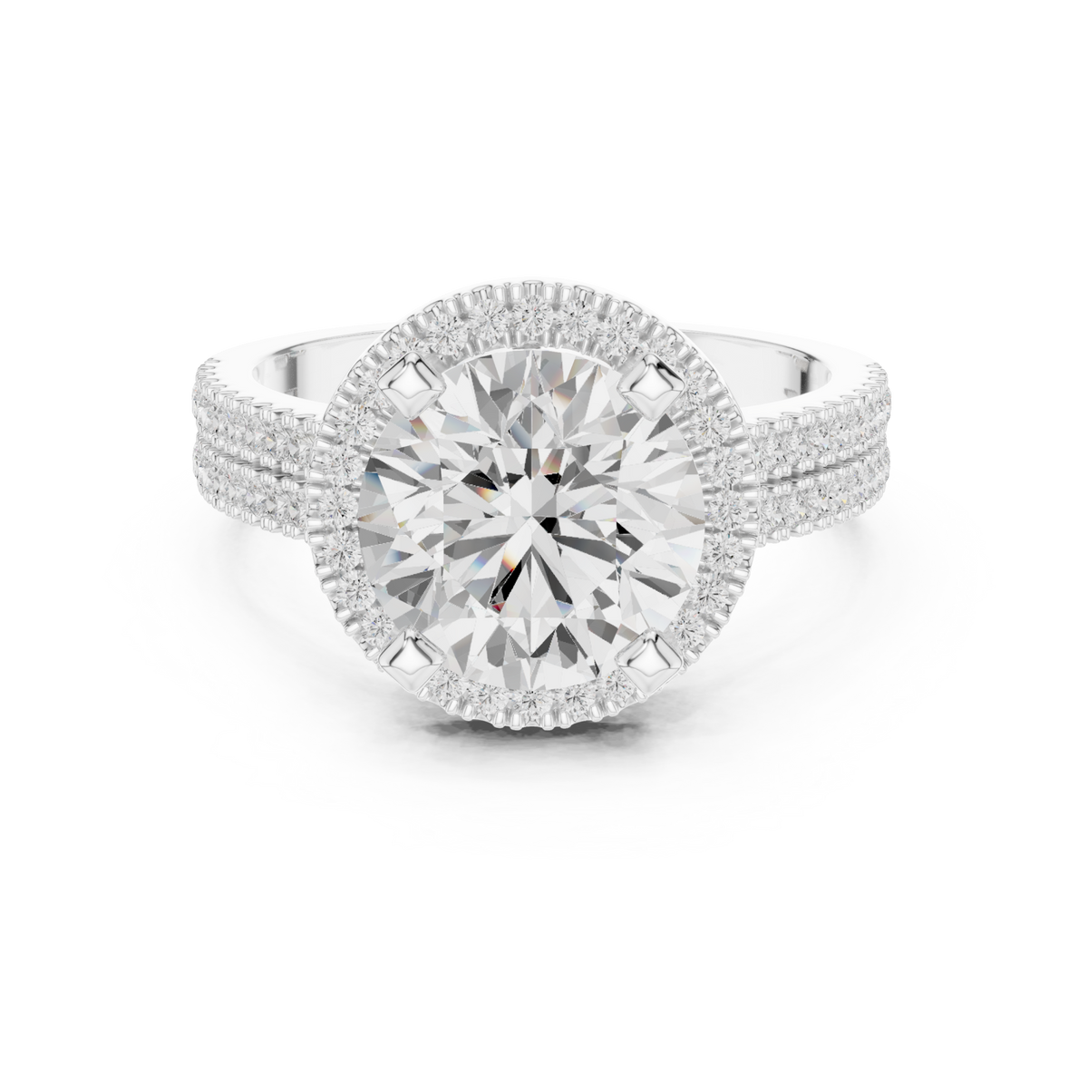Round triple-row pave halo engagement ring white gold detail view